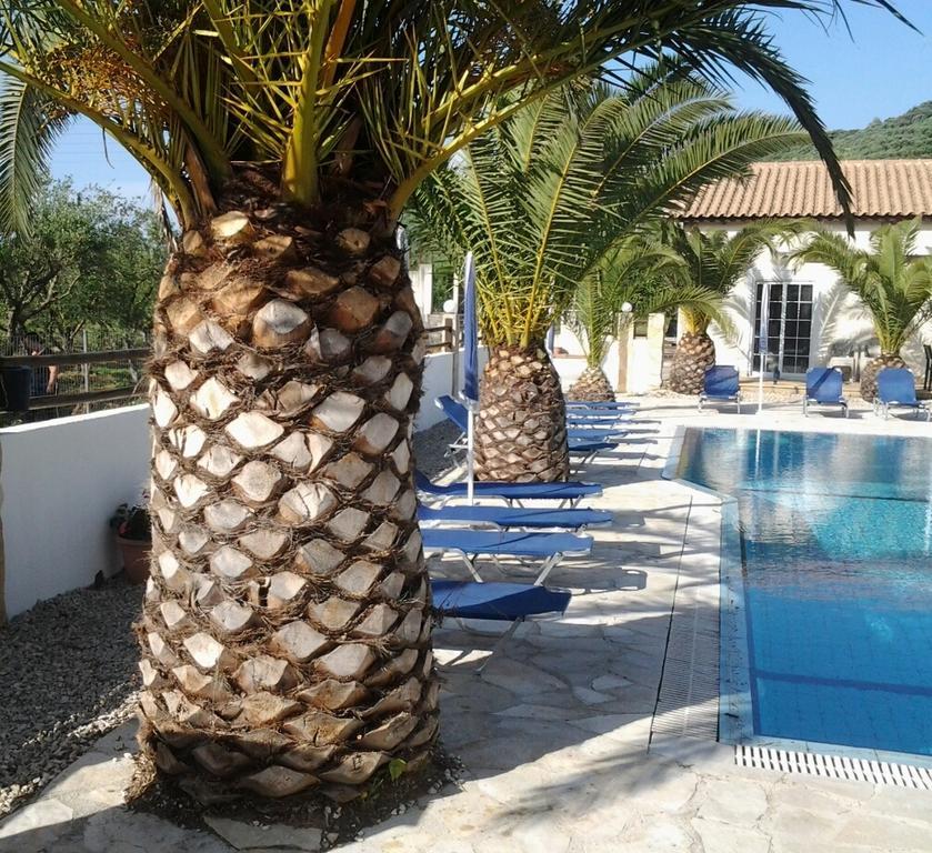 Zantegarden Apartments Аликанас Стая снимка